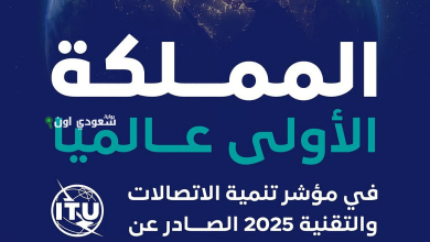 السعودية تتصدر العالم في مؤشر تنمية التقنية والاتصالات