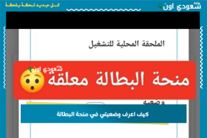 كيف اعرف وضعيتي في منحة البطالة