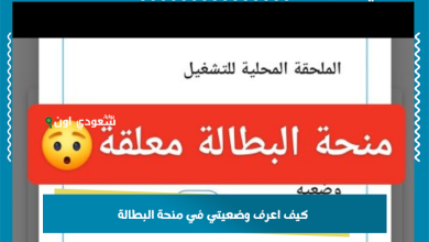 كيف اعرف وضعيتي في منحة البطالة