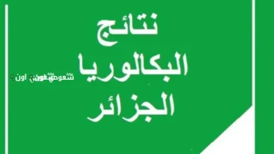 نتائج بكالوريا 2025 بموقع الديوان الوطني بالجزائر