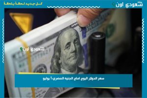سعر الدولار اليوم امام الجنيه المصري 1 يوليو