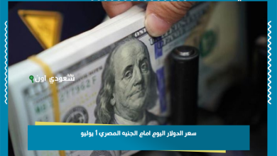 سعر الدولار اليوم امام الجنيه المصري 1 يوليو