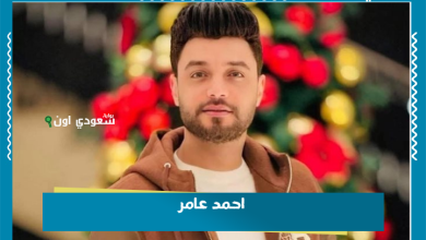احمد عامر