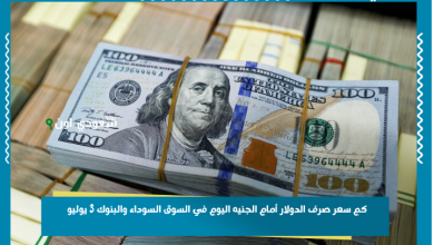 كم سعر صرف الدولار أمام الجنيه اليوم في السوق السوداء والبنوك 3 يوليو