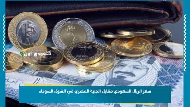 سعر الريال السعودي مقابل الجنيه المصري في السوق السوداء