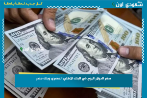 سعر الدولار اليوم في البنك الاهلي المصري وبنك مصر