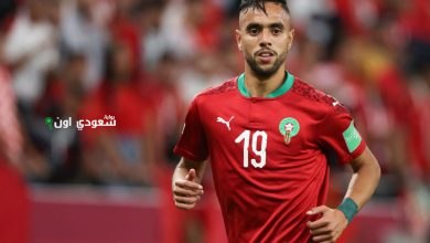 المغربي محمد الشيبي
