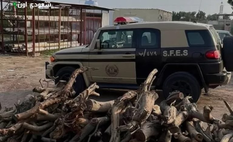 عسير: ضبط مخالف يقوم باستخدام حطب محلي في أنشطة تجارية غير قانونية