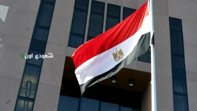 مصر تعبر عن إدانتها للاعتداءات الإسرائيلية