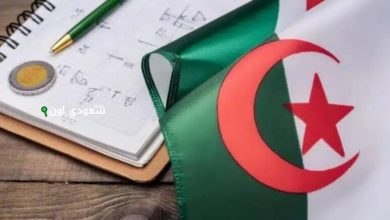 نتائج المراسلة 2025 الجزائر الاستعلام عبر موقع الديوان الوطني للتعليم والتكوين عن بعد