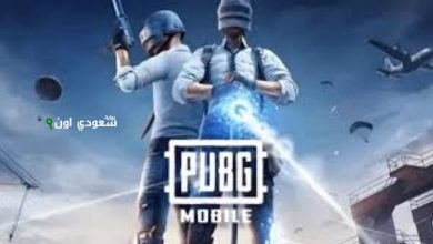 ببجي موبايل 2025