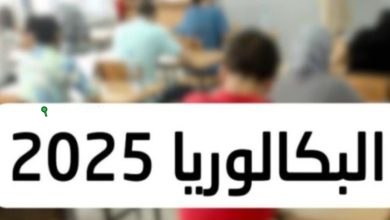 نتائج بكالوريا تونس 2025 كيفية الاستعلام بسهولة باستخدام الاسم ورقم الاكتتاب للمصريين