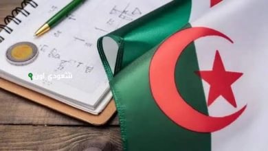 خطوات سهلة للاستعلام عن نتائج المراسلة 2025 عبر موقع الديوان الوطني في الجزائر