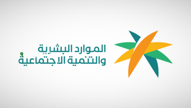 استعلام شامل عن موظف وافد في السعودية عبر وزارة الموارد البشرية والتنمية الاجتماعية للمستخدم المصري