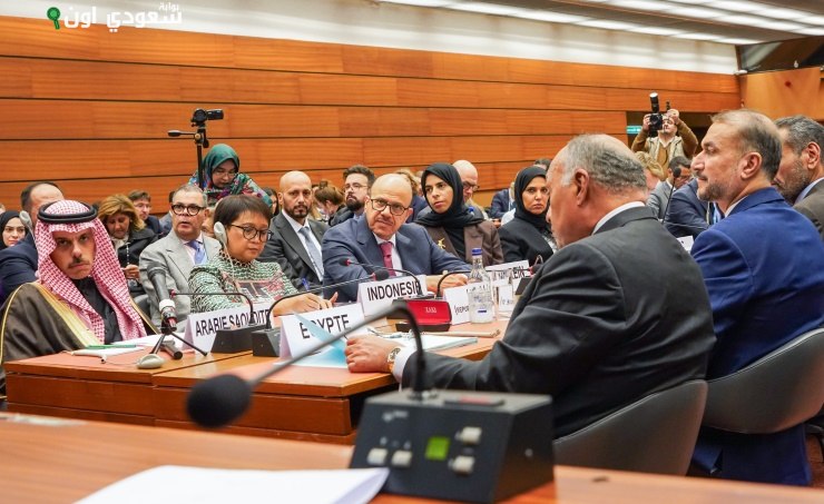 وزير الخارجية يؤكد أهمية مؤتمر حل الدولتين في تحقيق السلام العادل والشامل للمملكة