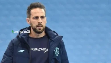 يانيك فيريرا