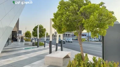 توثيق ورقمنة 100 ألف شجرة في مدينة الخبر
