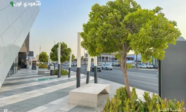 توثيق ورقمنة 100 ألف شجرة في مدينة الخبر