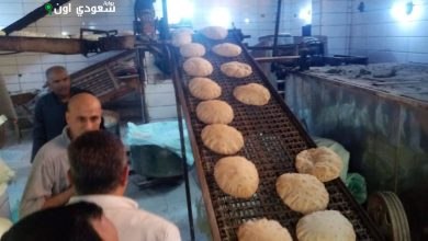 محافظ الدقهلية يؤكد على أصحاب المخابز الالتزام بأوزان الخبز