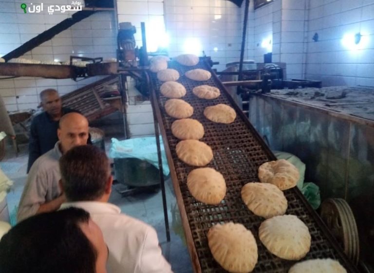 محافظ الدقهلية يؤكد على أصحاب المخابز الالتزام بأوزان الخبز