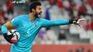 محمد الشناوي، حارس مرمى النادي الأهلي