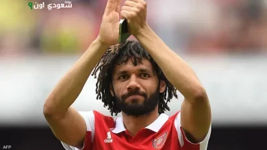 محمد النني