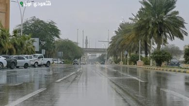 أمطار نجران تستمر حتى الساعة العاشرة مساءً اليوم