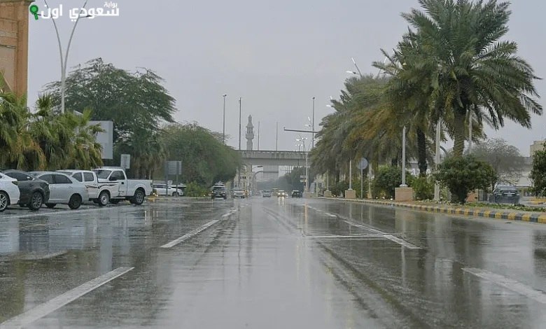 أمطار نجران تستمر حتى الساعة العاشرة مساءً اليوم