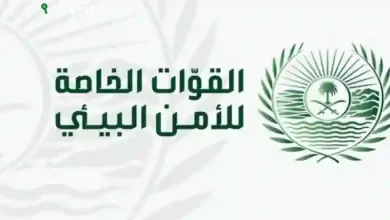 الأمن البيئي