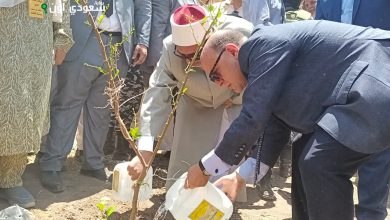 مبادرة زراعة الأشجار