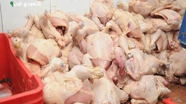 ضبط 1700 كيلو من الدواجن الفاسدة في حملة بالغربية