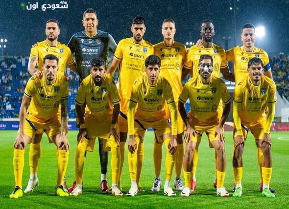 فريق التعاون