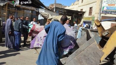 حملة لرفع الإشغالات بالأقصر تسفر عن 12 مخالفة جديدة