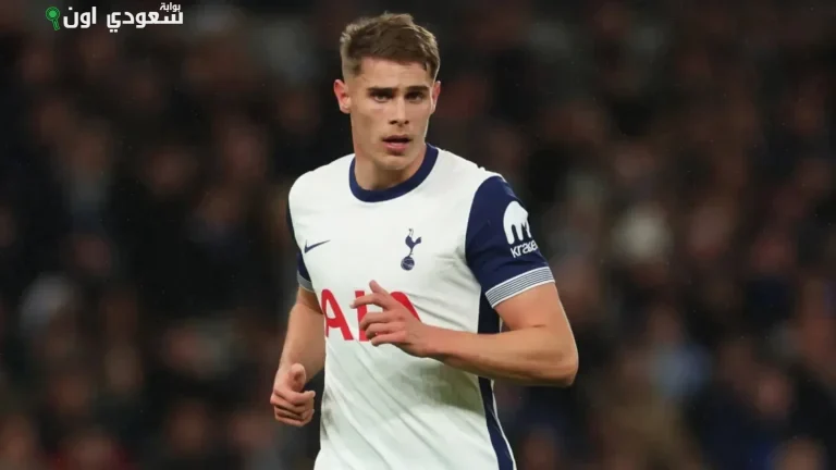 ميكي فان دي فين