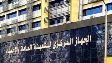جهاز الإحصاء: انخفاض دين أحكام الإفلاس لـ 120 مليون جنيه 2024