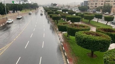 أمطار الطائف