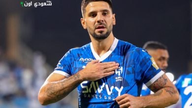 ألكسندر ميتروفيتش