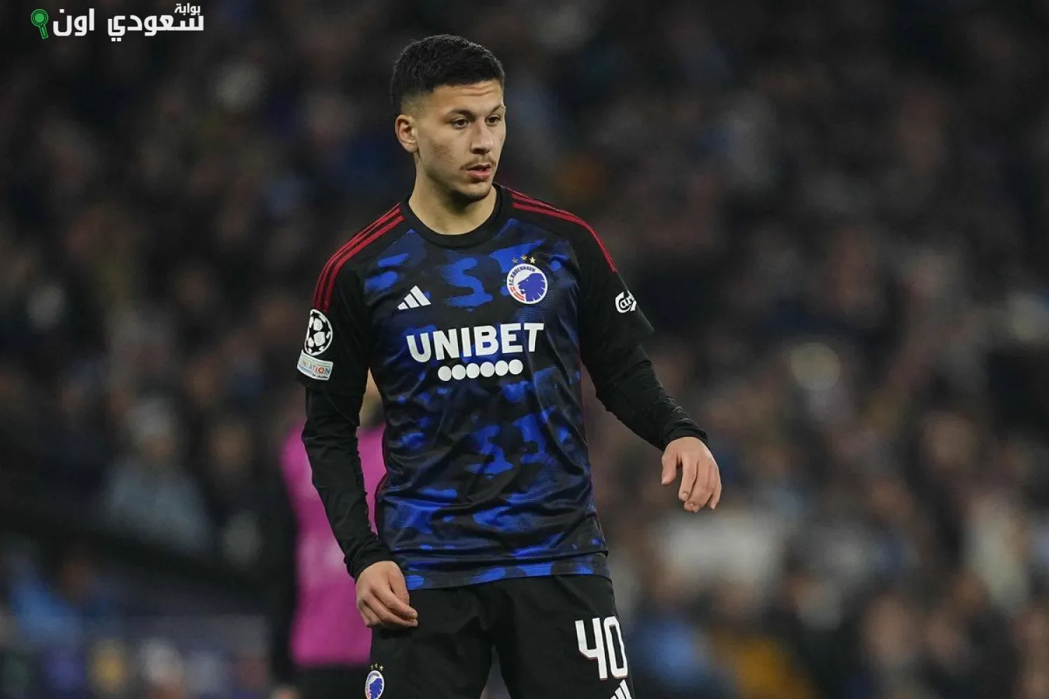 روني بردغجي