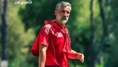 خوسيه ريبيرو