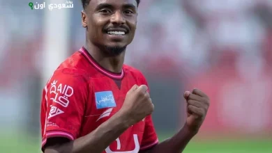 يحيى النجعي
