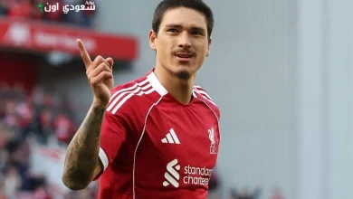 داورين نونيز