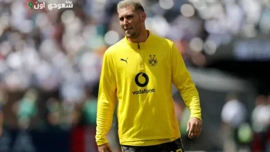 نيكلاس زوله