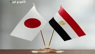 التبادل التجاري بين مصر واليابان