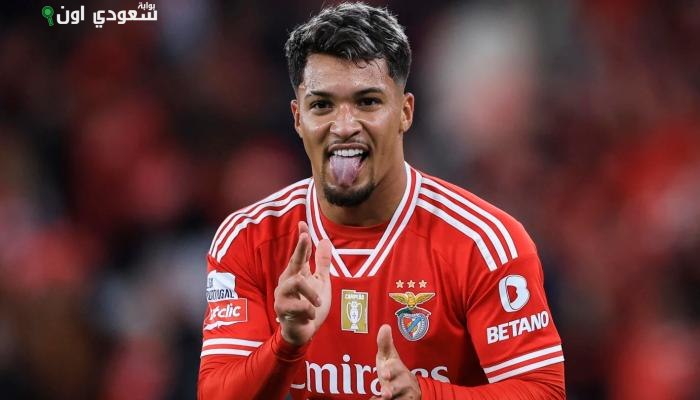 ماركوس ليوناردو