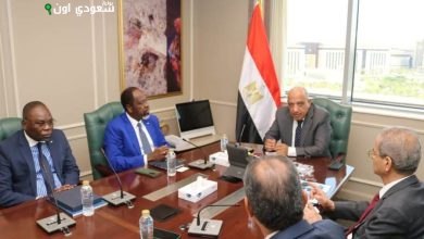 مصر تحتضن المؤتمر 21 لاتحاد مرافق الطاقة الإفريقية (APUA) بشكل جذري ومتميز