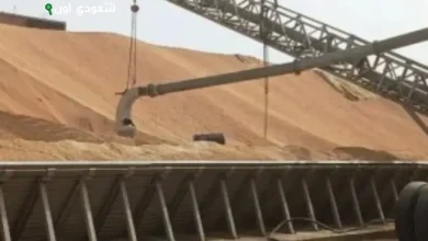 توريد القمح المحلى بأسوان