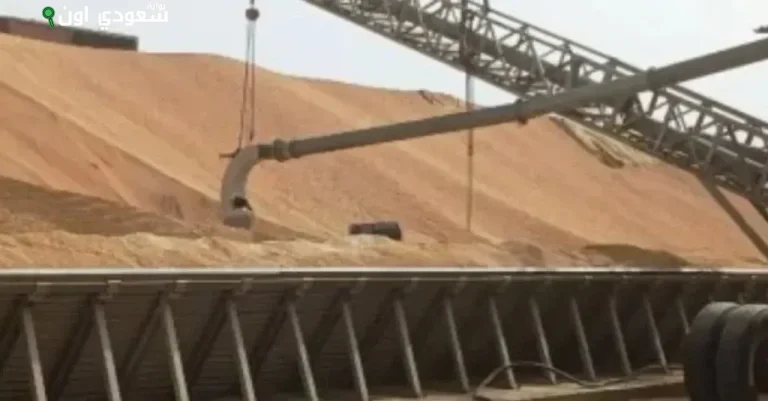 توريد القمح المحلى بأسوان