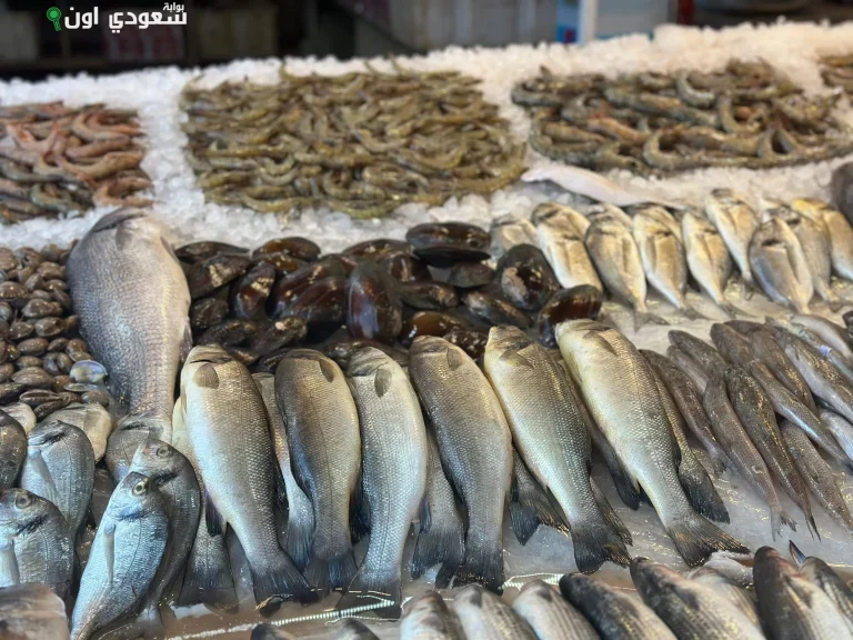 استكشاف سوق الأسماك في بورسعيد لعشاق المأكولات البحرية