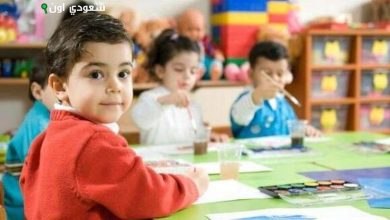 غدا بدء المرحلة الثانية من تنسيق رياض الأطفال بالإسكندرية