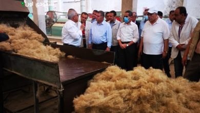 زيارة وزير قطاع الأعمال لشركة طنطا المتخصصة في الكتان والزيوت العريقة